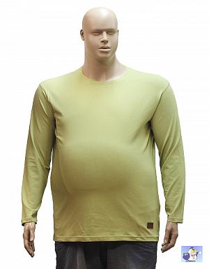 Салатовая футболка с длинным рукавом